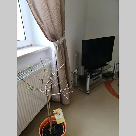 Ferienwohnung Mit Guter Anbindung Zur & Apartment