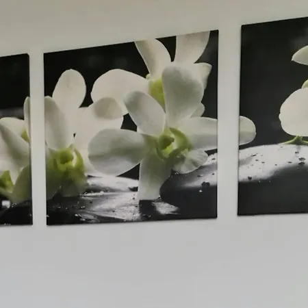 Ferienwohnung Mit Guter Anbindung Zur & Apartment *
